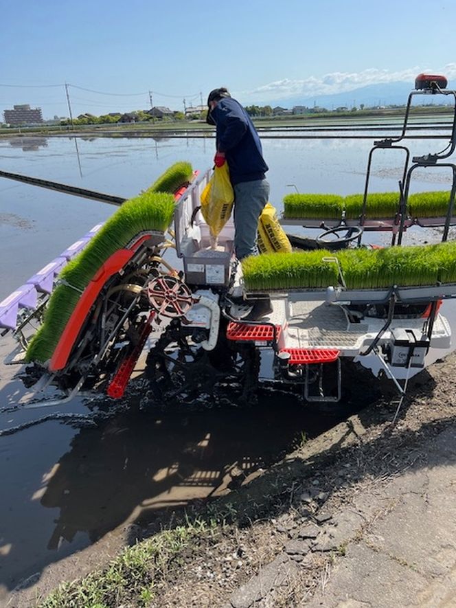 【射水市】【田中農産】【土づくり農業】【射水の美味しいお米】R8年産ミルキークイーン10kg（5kg×2）【精米】 ※離島への配送不可 ※2026年9月下旬～10月下旬頃に順次発送予定