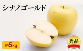 シナノゴールド 秀品 約5kg 長野県産 果物類 林檎 りんご リンゴ フルーツ 小諸市
