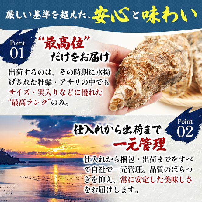 北海道 厚岸産 砂抜き済み あさり 4kg ＆ ブランド牡蠣 マルえもん 殻付き LLサイズ 20個 【光輝】 [ 魚貝類 海鮮 海の幸 みそ汁 酒蒸し アサリバタ 産地直送 生食用牡蠣 生食用 牡蠣 カキ ］