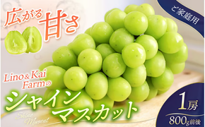 【2026年先行予約】 【ご家庭用】Lino＆Kai Farmのシャインマスカット 1房 （約800g）化粧箱入 / 朝採れ ぶどう 岡山 真庭市 シャインマスカット 高級 ギフト 大粒 果物 贈答 人気 産地直送 国産 数量限定 種なし 某産直サイトで受賞 【linokai007-02】