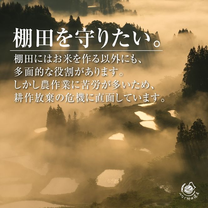 【令和8年産 先行予約】【定期便／全4回】無洗米5kg　新潟県十日町市魚沼産コシヒカリ「つなぐ棚田米」  米 こしひかり 無洗米 定期 十日町市
