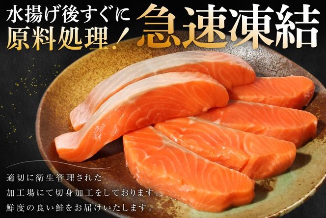 訳あり サーモン 切身 骨取り 皮取り 無塩 総重量 1.5kg [足利本店 宮城県 気仙沼市 20565974] 魚 魚介類 冷凍 鮭 海鮮 魚介 規格外 不揃い さけ サケ 鮭切身 シャケ 切り身 サーモン切り身 訳アリ わけあり 簡易包装 家庭用 冷凍