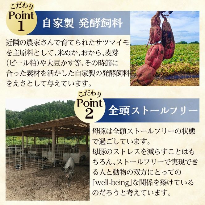 a1111 ＜保存料・発色剤・結着材・合成着色料 無添加＞月ノ灯牧場直送！鹿児島県産黒豚ソーセージ3種盛り合わせ計12本(ソーセージ4本・ハーブソーセージ4本・チョリソー4本)【pig village company】 姶良市 国産 豚肉 黒豚 ソーセージ セット 鹿児島