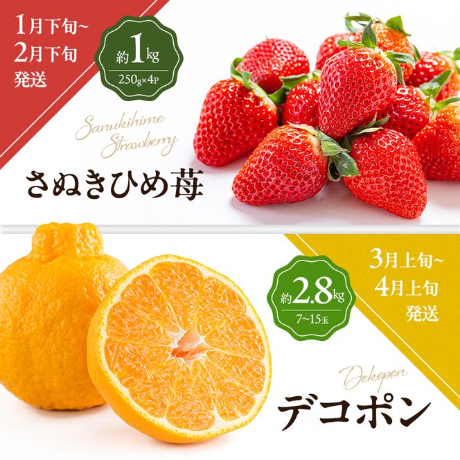 讃岐のフルーツ6回定期便【B】【さぬきひめ苺】【デコポン】【なつたより(びわ)】【桃】【さぬきゴールドキウイ】【小原紅(さぬき紅みかん)】