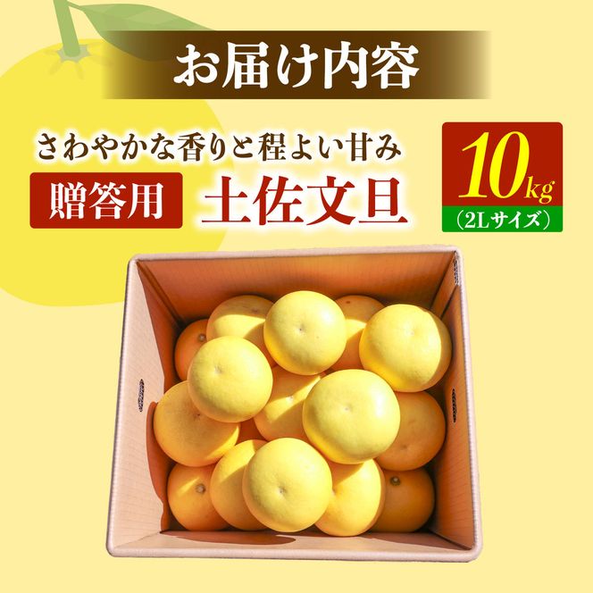【先行予約】土佐文旦の創始 宮地文旦園の土佐文旦 贈答用2L 約10キロ 20～22個入り 10kg〈2027年3月上旬～4月下旬〉 ぶんたん ブンタン フルーツ 柑橘 みかん 果物 くだもの 柑橘類 デザート ギフト 贈り物 高知県 土佐市【宮地文旦園】[BQBP005]