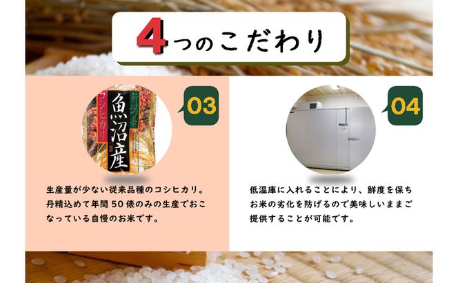 令和8年産　先行予約　【数量限定】定期便/全3回　 従来品種 魚沼産コシヒカリ 5kg 〈令和8年10月下旬～発送予定〉