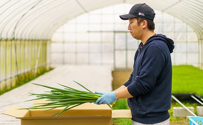 生産農家直送 京野菜・九条ねぎ1kg〈ねぎ ネギ 葱 九条ねぎ 京野菜 京都 新鮮 甘い 農家直送 野菜〉 