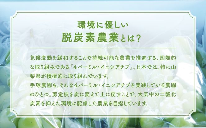 【来年（2026年/令和8年）発送＜先行予約＞】【ご家庭用つぶつぶ】ぶどう3種　約1㎏　先行予約 先行 予約 山梨県産 産地直送 フルーツ 果物 くだもの ぶどう ブドウ 葡萄 シャイン シャインマスカット 新鮮 人気 おすすめ 国産 山梨 甲斐市 AV-40