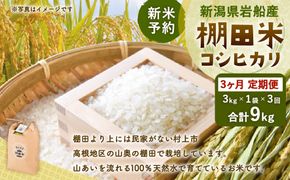 【新米受付・令和8年産米】【定期便：3ヶ月連続でお届け】新潟県村上市岩船産 棚田米コシヒカリ 3kg×3ヶ月　1011009N