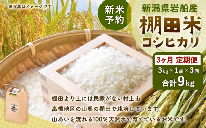 【新米受付・令和8年産米】【定期便：3ヶ月連続でお届け】新潟県村上市岩船産 棚田米コシヒカリ 3kg×3ヶ月　1011009N