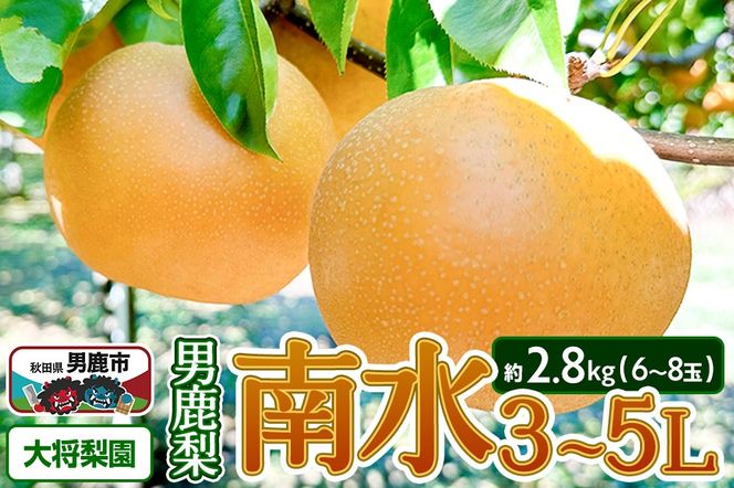 yHcjszystz2026N10{`{ ju叫v쐅 2.8kg 6`8 3`5L  Hc js|23_tsn-020301