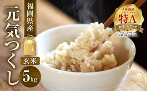 【 令和7年産 】 福岡県産 【 特A 】 評価のお米「 元気つくし 」 5kg × 1袋 玄米 米 お米 こめ ご飯 ごはん ライス 令和7年 おにぎり 弁当 オリジナル品種 国産