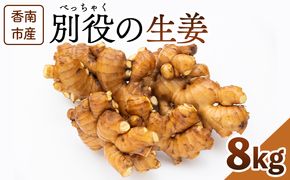 生姜 8kg 香南市産 別役の生姜 - しょうが ショウガ ジンジャー 薬味 調味料 国産 株式会社べっちゃく 高知県 香南市 bc-0027
