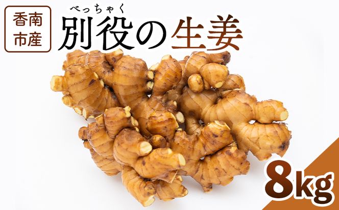 生姜 8kg 香南市産 別役の生姜 - しょうが ショウガ ジンジャー 薬味 調味料 国産 株式会社べっちゃく 高知県 香南市 bc-0027