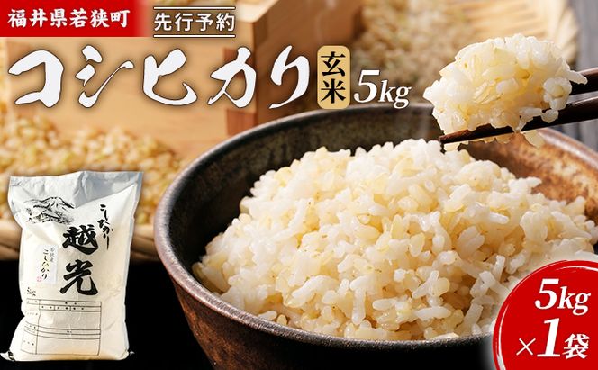 【10月お届け】令和8年産 若狭町コシヒカリ玄米5kg 米 お米 こしひかり 福井県
