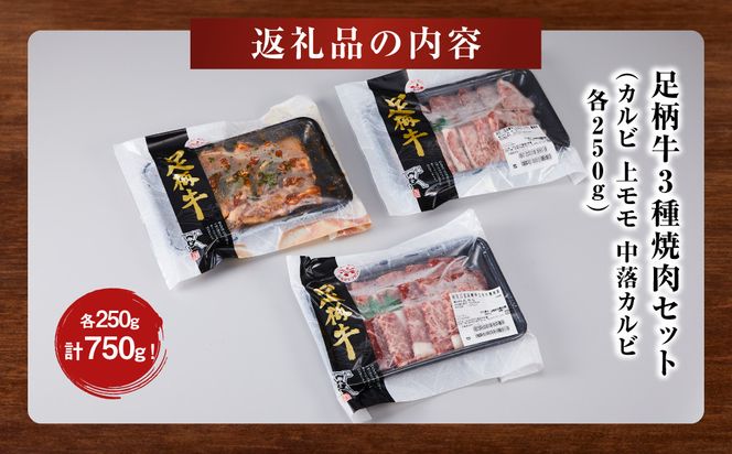 足柄牛3種焼肉セット（カルビ　上モモ　中落カルビ各250ｇ）【 肉 国産  神奈川県 小田原市 】 142069_AG033