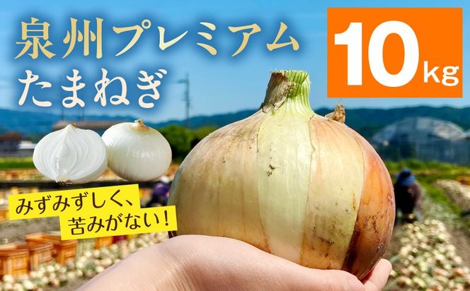G3680-1 【8/20 受付終了】プレミアムたまねぎ 10kg【泉州 玉ねぎ タマネギ 玉葱 甘い 野菜 国産 オニオン サラダ カレー バーベキュー】