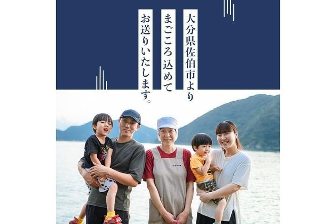 四代続く秘伝のたれ みりん干しセット (合計5種・24枚以上×隔月6回) 定期便 干物 魚 鯵 鯖 みりん かます 醤油 食べ比べ おかず 国産 詰め合わせ セット さばみりん あじみりん おつまみ 朝食 大分県 佐伯市 【FT03】【田辺海産】