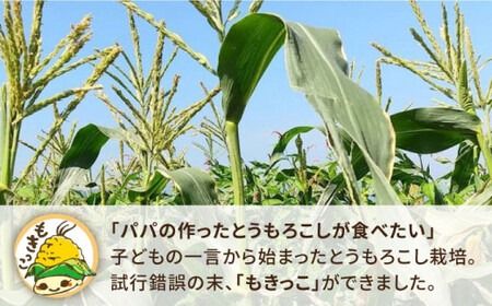 【 先行予約：2024年7月以降順次発送 】 糸島 トウモロコシ 『もきっこ』 白 （ 8～10本 ） 《糸島》 【内田農業】 [AZH002]