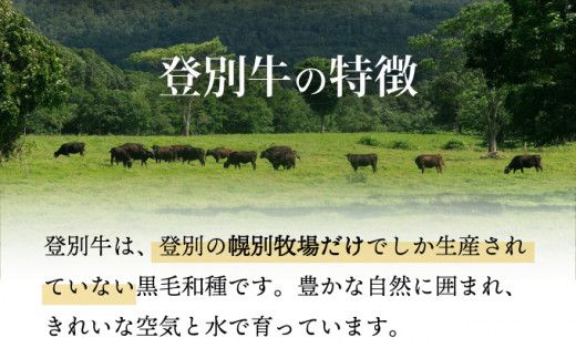 定期便も選べる！ 登別牛100％使用ハンバーグ 120g×5個（単品／定期便）