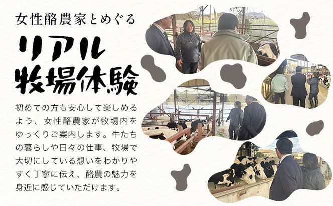 体験 牧場 食と命のつながりを感じるリアル牧場体験 ～ こはら牧場 in 笠岡湾干拓地 ～ 《30日以内に出荷予定(土日祝を除く)》株式会社こはら 岡山県 笠岡市 牛 乳牛 酪農 学習---K-71---