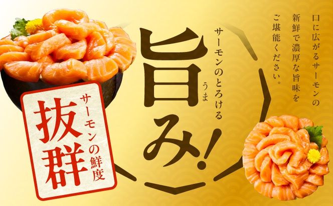 015B288 北極圏サーモン ポーション 1kg【高級 小分け 海鮮丼 人気 オススメ 小分け 冷凍 簡単調理 一人暮らし】