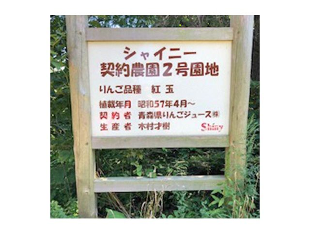 【数量限定】青森県産 りんごジュース シャイニープレミアム 契約栽培りんごジュース 紅玉＆王林 280ml×24本 飲料類 果汁飲料 