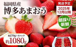 【先行受付】農家直送 朝採り新鮮いちご【博多あまおう】＜12月より順次発送＞ 約270g×4パック 福岡県産 苺 イチゴ 朝採れ 冷蔵 スイーツ ジュース ギフト プレゼント お土産 九州 福岡土産 ※北海道・沖縄・離島は配送不可