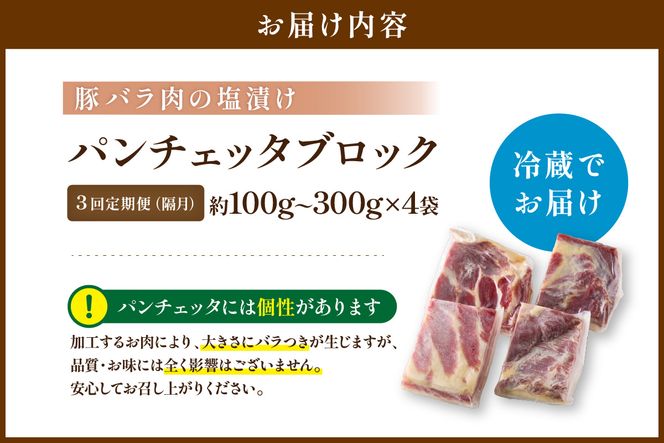 【定期便 隔月×3回】パンチェッタブロック（豚バラ肉の塩漬け）　約200g×4袋 ふるさと納税 豚肉 塩漬け ふるさと納税 ベーコン ふるさと納税 パンチェッタ 豚バラ 塩漬け スペイン料理　NI00026