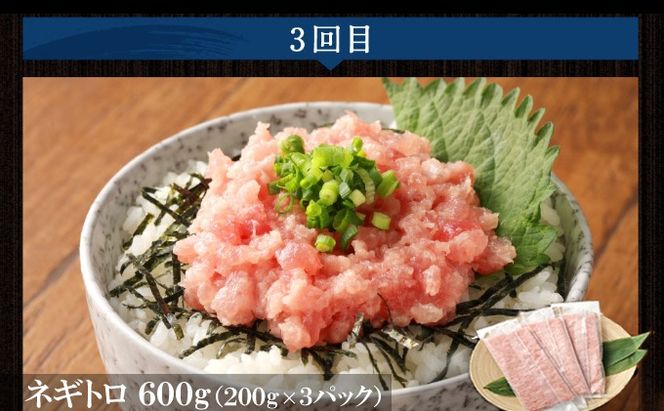 【3回定期便】カツオとマグロ堪能定期便B お楽しみ 切り落とし 刺身 刺し身 鮪 鰹 まぐろ カツオのたたき ネギトロ 海鮮 魚 惣菜 海産物 魚介類 魚貝 高知県 まぐろたたき 冷凍 訳あり 不揃い 傷 規格外 故郷納税 どんぶり お手軽 便利 30000円 室戸定期便 tk013