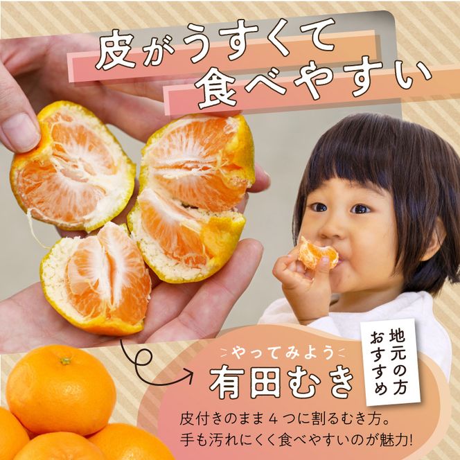 ZE6415_【秀品】【2026先行予約】有田みかん 和歌山県有田産 2kg (2S～Lサイズ混合) 【まごころ手選別】