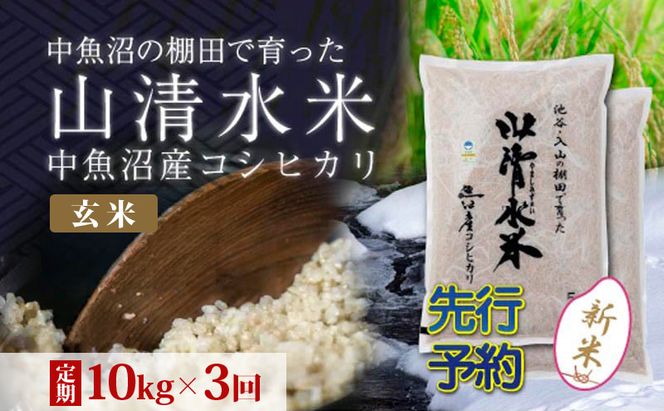 【令和8年産 先行予約】【定期便／全3回】玄米10kg 新潟県魚沼産コシヒカリ「山清水米」