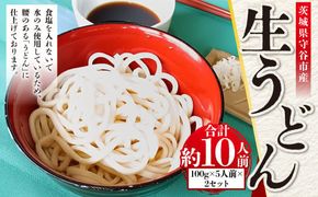 生うどん 100g×5人前×2セット | うどん 10人前 10食 セット 麺 麺類 辛汁 冷凍 茨城県 守谷市
