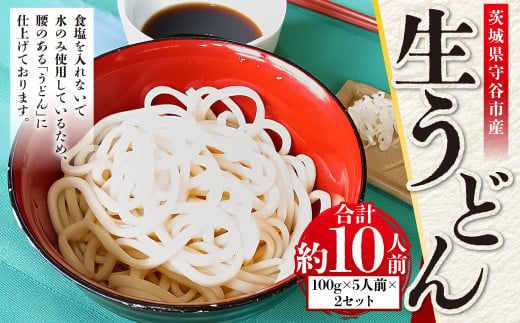 生うどん 100g×5人前×2セット | うどん 10人前 10食 セット 麺 麺類 辛汁 冷凍 茨城県 守谷市