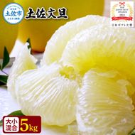 【先行予約】園主こだわりの土佐文旦 5キロ 大小混合（４L～Mサイズ） 2027年1月下旬より順次発送 ぶんたん ブンタン 柑橘 みかん フルーツ 果物 家庭用 お取り寄せ 土佐 高知【やの一果彩】 [BQAC013]
