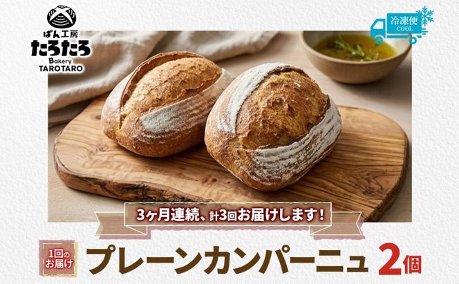 定期便 3ヶ月連続 ぱん工房たろたろ プレーンカンパーニュ 2個 カンパーニュ パン プレーン 自然な甘み シンプル 小麦 農林61号 濃厚 芳醇 香り もっちり 食感 ハード系 柔らかめ 埼玉県 嵐山町