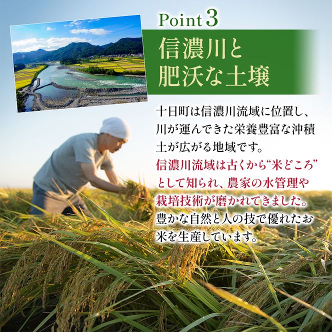 令和7年度産【十日町産】 魚沼産コシヒカリ5kg 米 お米 こしひかり 精米 新潟 