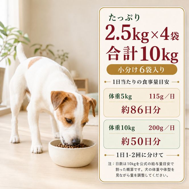 ビューティープロ ドッグ 低脂肪 1歳から 2.5kg ｘ4(ケース単位) ドッグフード