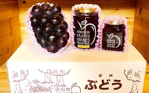 【ぶどうとジャムのセット】ナガノパープル1房(450ｇ以上)×ナガノパープルジャム 2本 (400g×1本、190ｇ×1本)《信州うちやま農園》■2025年発送■※8月中旬頃～10月中旬頃まで順次発送予定