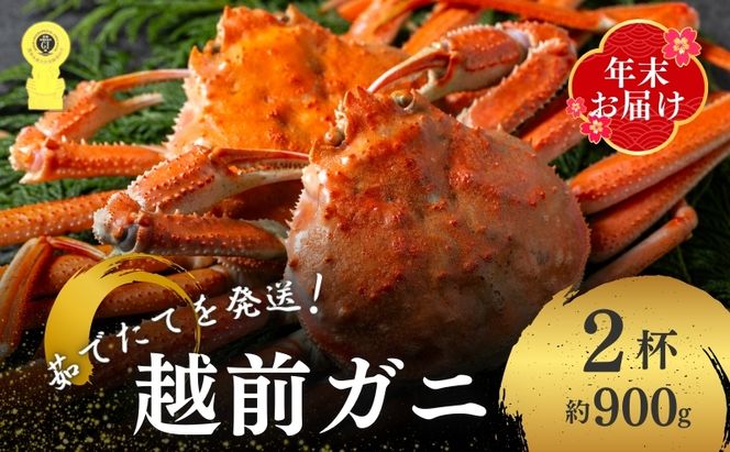 茹で越前ガニ【年末お届け】食通もうなる本場の味をぜひ、ご堪能ください。約900g 2尾セット 越前がに 越前かに 越前カニ カニ ボイルガニ 蟹 