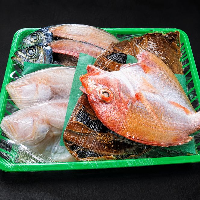 【ふるさと納税】海の京都 橋立やまいち 干物セット 贈答用 A 魚貝類 一夜干し 桜干し みりん干し 干物 ひもの 詰め合わせ セット おつまみ アジ カレイ レンコダイ  myz02 myz11 myz17