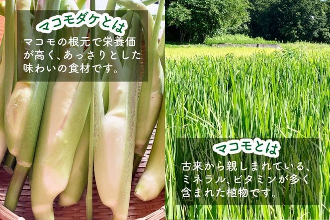 マコモ体験チケット（6,000円分）田植え 収穫 マコモ料理 手仕事体験 [マコモ農園さんさん 山梨県 韮崎市 20742713] 体験 子ども 子供 まこも 真菰 マコモ 真菰茶 まこも茶 マコモ茶 マコモダケ 体験型