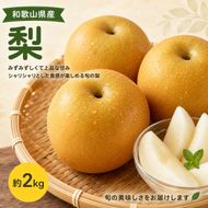紀州和歌山産の梨 約2kg 化粧箱入◇