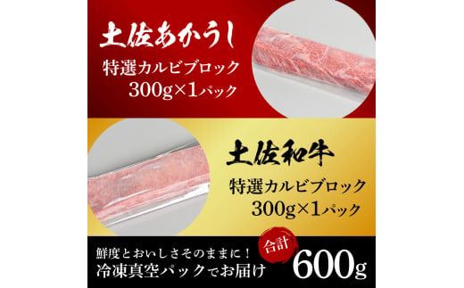 【CF-R7hbk】土佐あかうし＆土佐和牛2種食べ比べ（300g×2パック）特選カルビブロック 特選 カルビ ブロック肉 牛 牛肉 赤牛 和牛 国産 エイジングビーフ 天下味 エイジング工法 熟成肉 ギフト