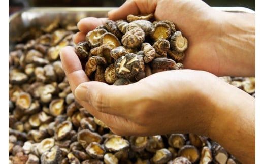 【永楽屋】京佃煮詰め合わせ 永楽撰（ER-35）［ 京都 河原町 老舗  あまから 佃煮 人気 おすすめ ご飯のお供 お取り寄せ 通販 送料無料 ふるさと納税 ］ 261009_B-MT01