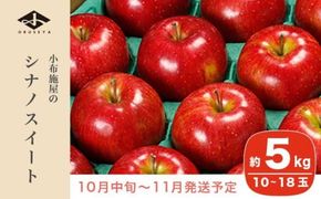 シナノスイート 約5kg 10～18玉 ［小布施屋］りんご 林檎 リンゴ 果物 フルーツ 令和7年産【2025年10月中旬～11月発送】 ［A-207］