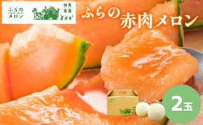 【2026年6月発送】ふらの 赤肉メロン 2玉入 計4kg前後 (相馬農園) メロン フルーツ 果物