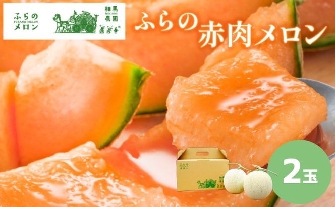 【2026年6月発送】ふらの 赤肉メロン 2玉入 計4kg前後 (相馬農園) メロン フルーツ 果物