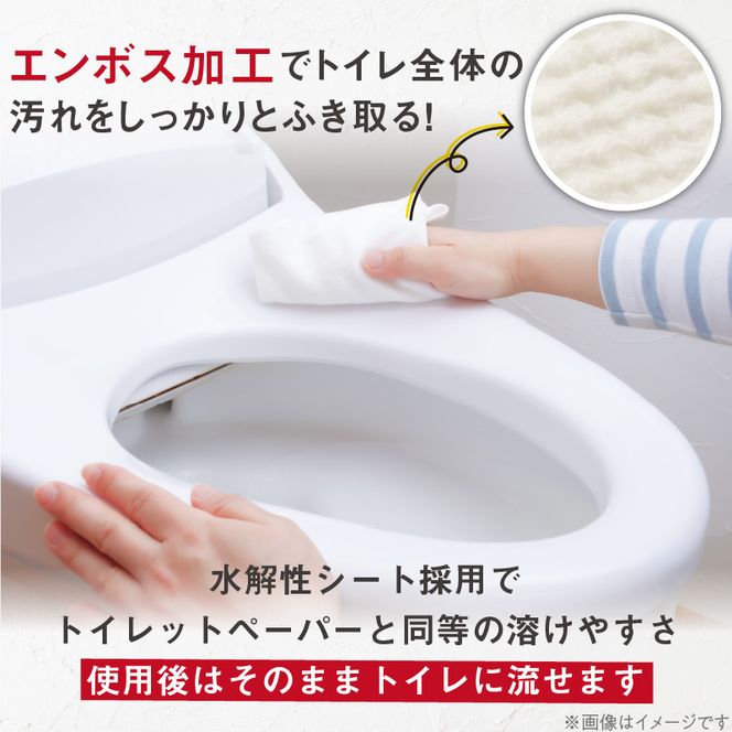 KIREI楽々　流せる重曹+セスキ　トイレクリーナー24枚×40パック［032T09］