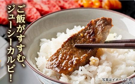 博多和牛 厚切り カルビ 500g 糸島市 / 幸栄物産 焼肉 バラ [ABH048] 肉 牛肉 博多 和牛 黒毛和牛 バラ バラ肉 カルビ 500g 国産 牛